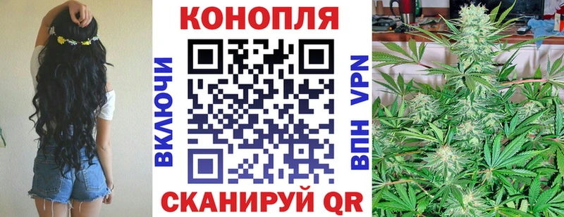 Бошки Шишки индика  где продают   Красный Кут 